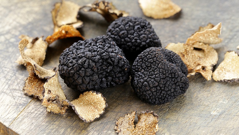 Srpski tartufi sve više na ceni, za kilogram se dobija i do 2.000 €!